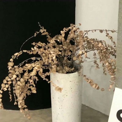 Furry兽设设计灵感合集福瑞群